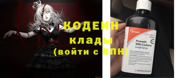 мет Алексин
