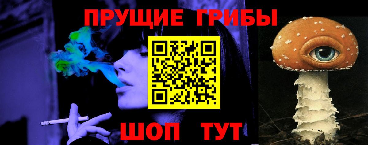 Тында  Галлюциногенные грибы мицелий  Вход с VPN  Галлюциногенные грибы мухоморы 