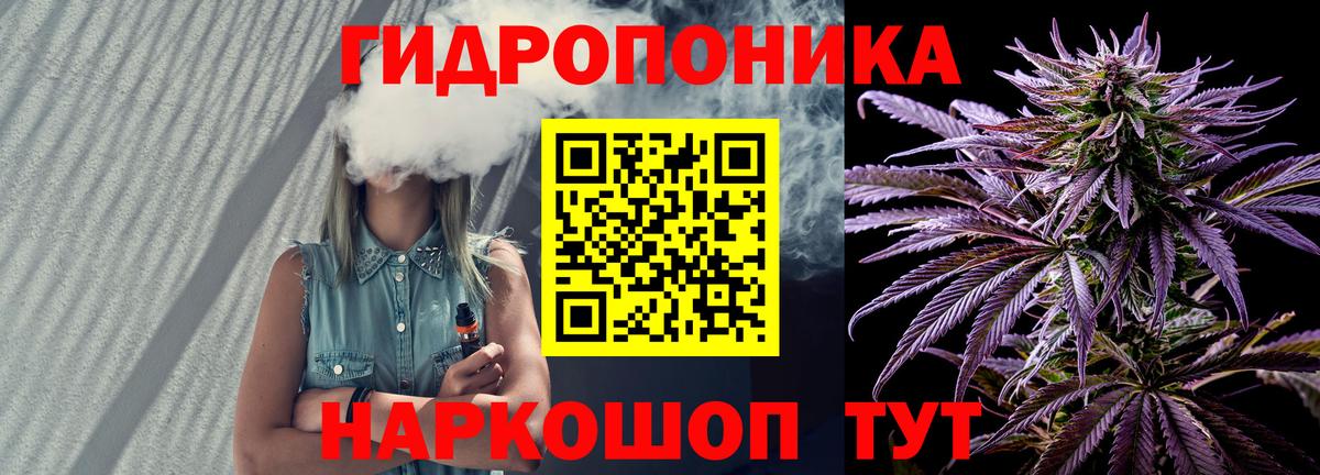 Бошки Шишки тримм  Канабис гибрид  Тында  Шишки марихуана Bruce Banner  Марихуана планчик  Вход с VPN 